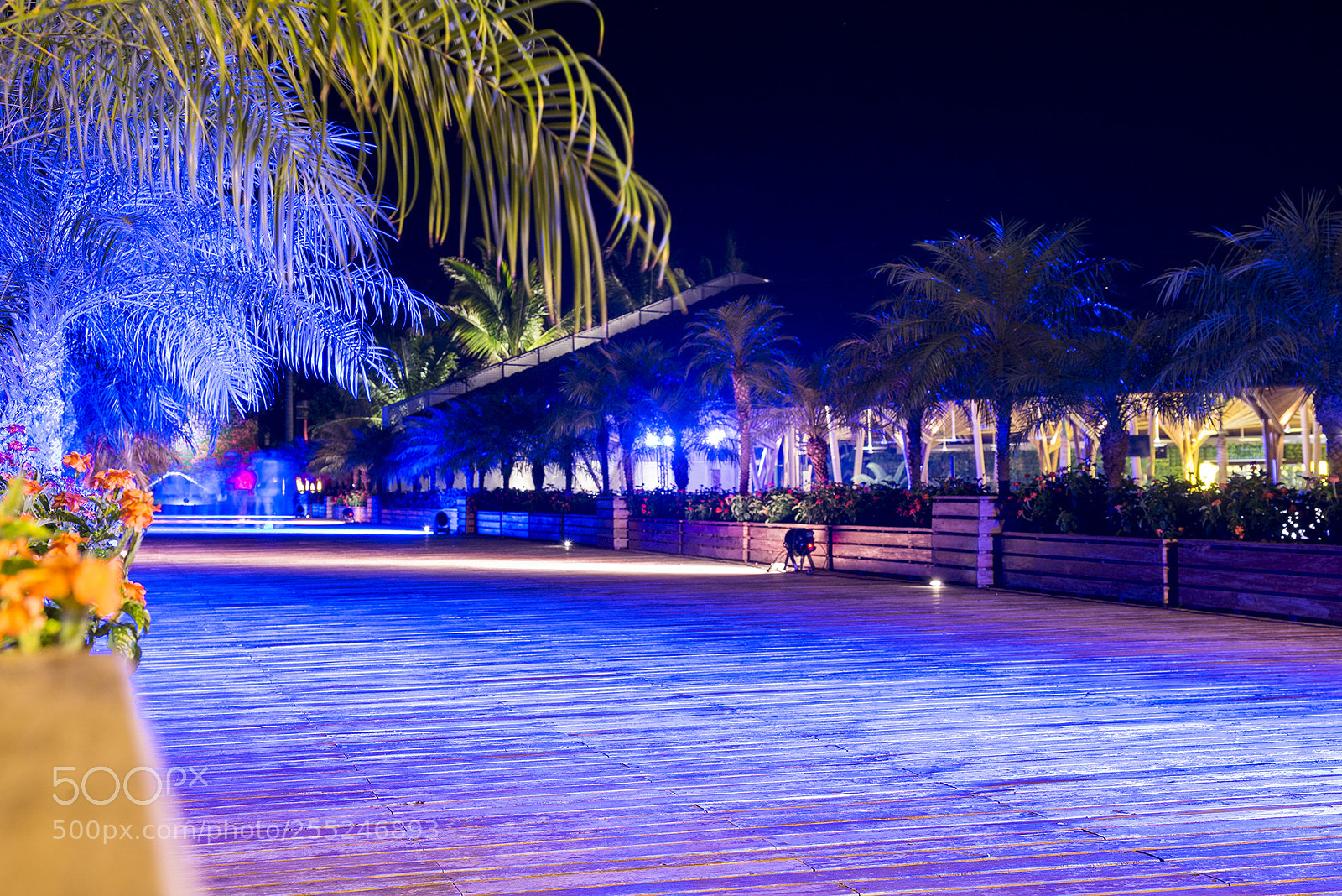 Nikon D600 sample photo. Jardines de méxico photography