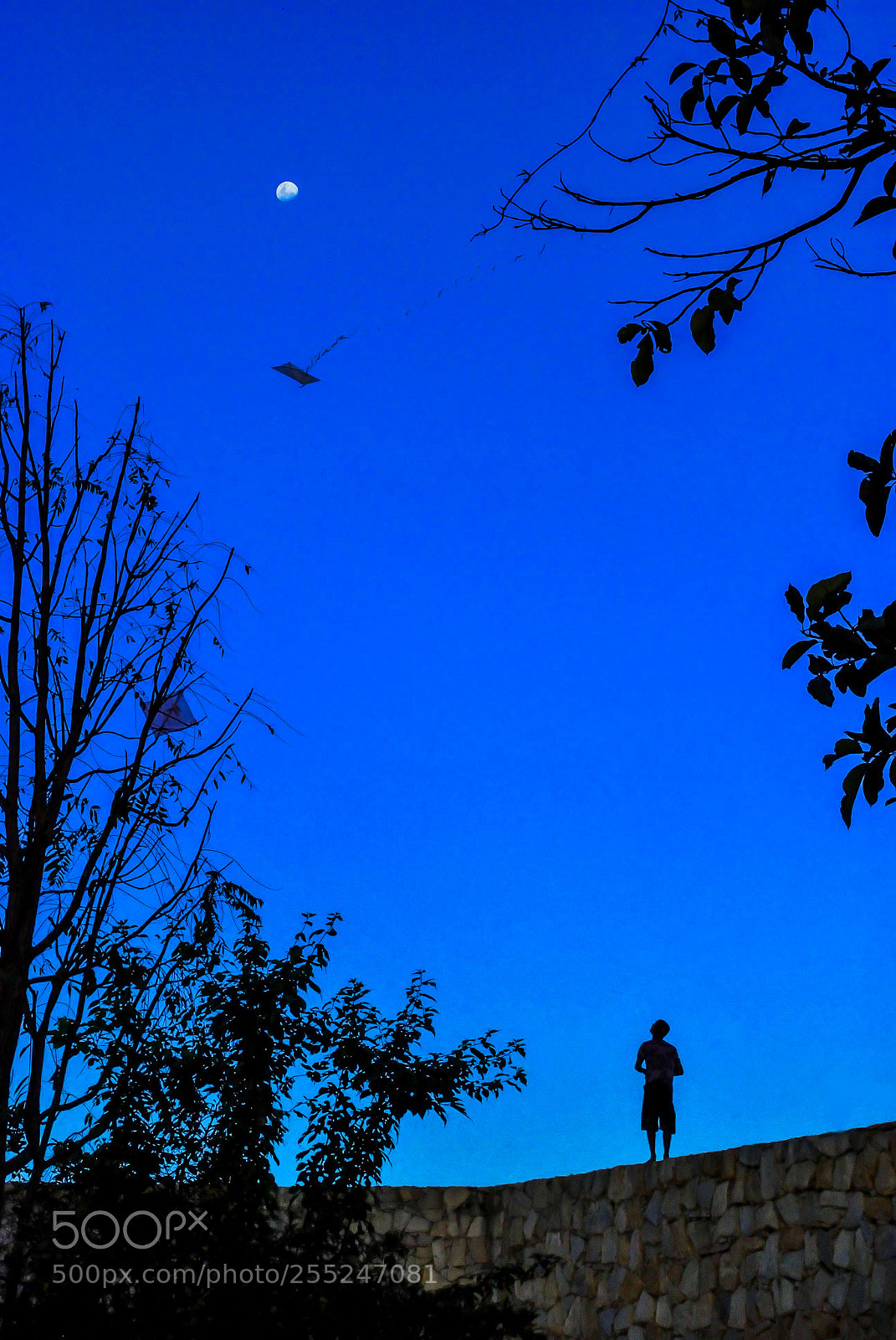 Nikon D60 sample photo. Vvde olho photography
