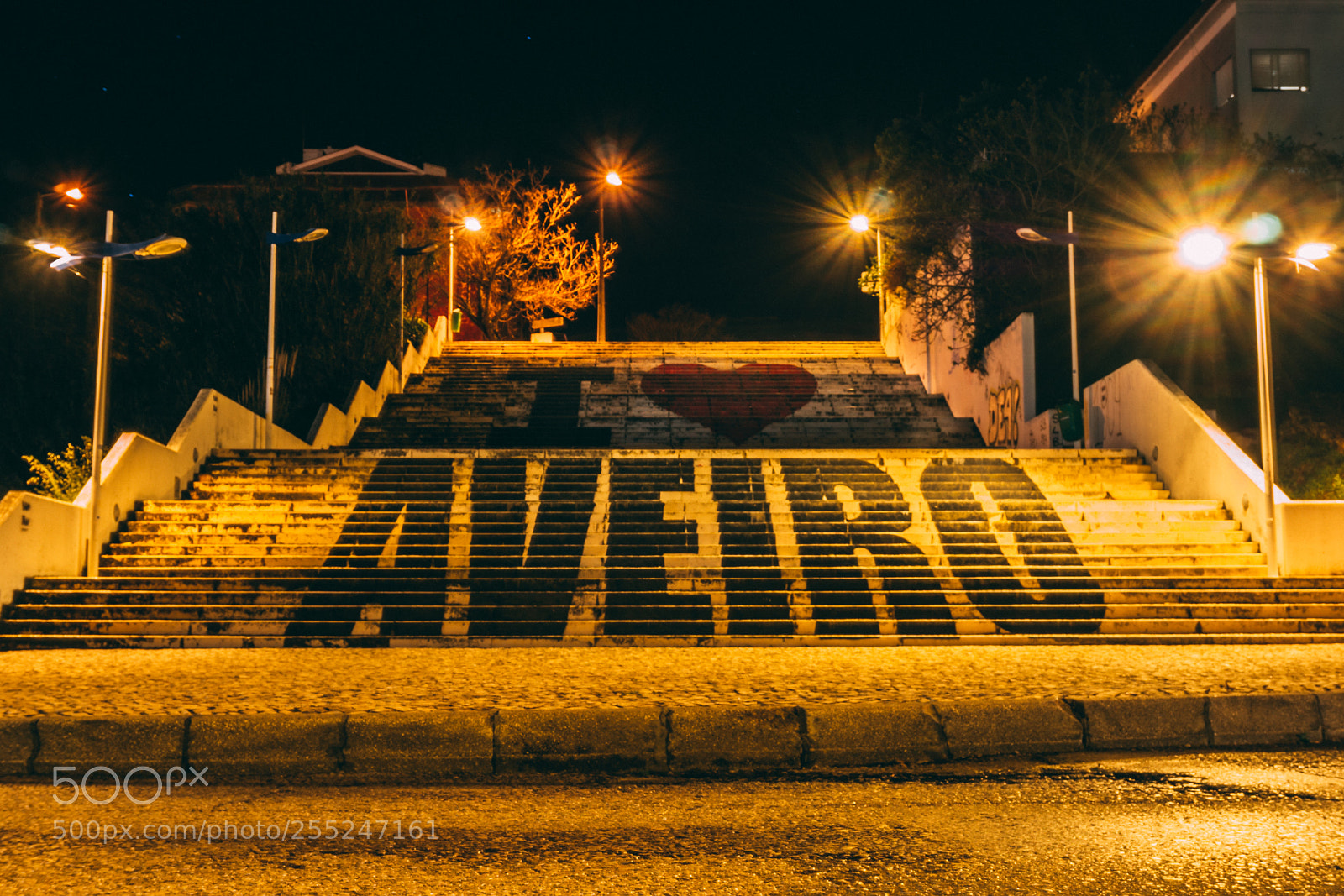 Sony a6000 sample photo. Dsc photography