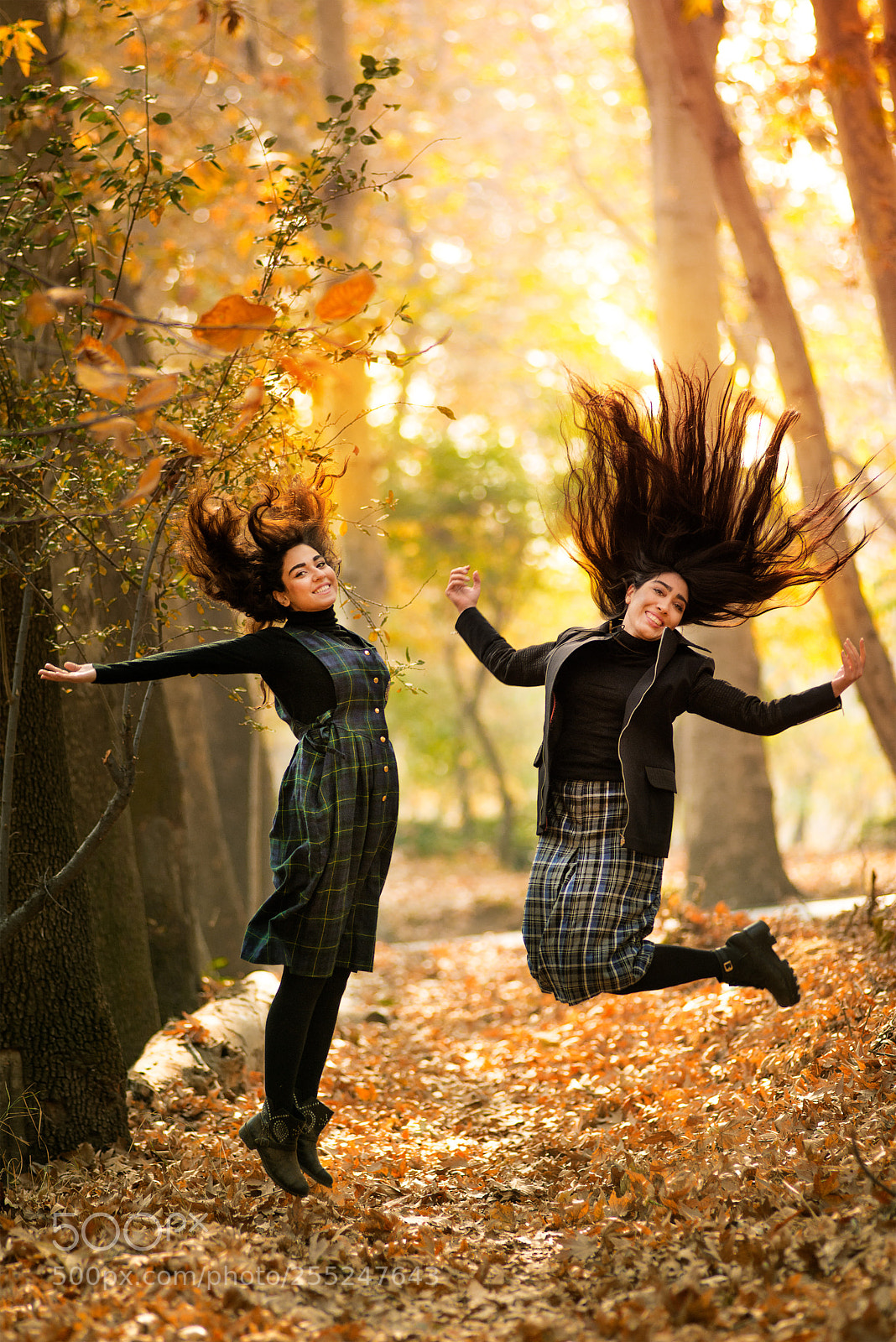 Nikon D800 sample photo. Friends photography
