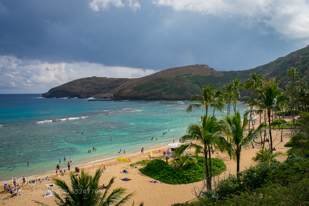 Nikon D3400 sample photo. Aloha spirit photography