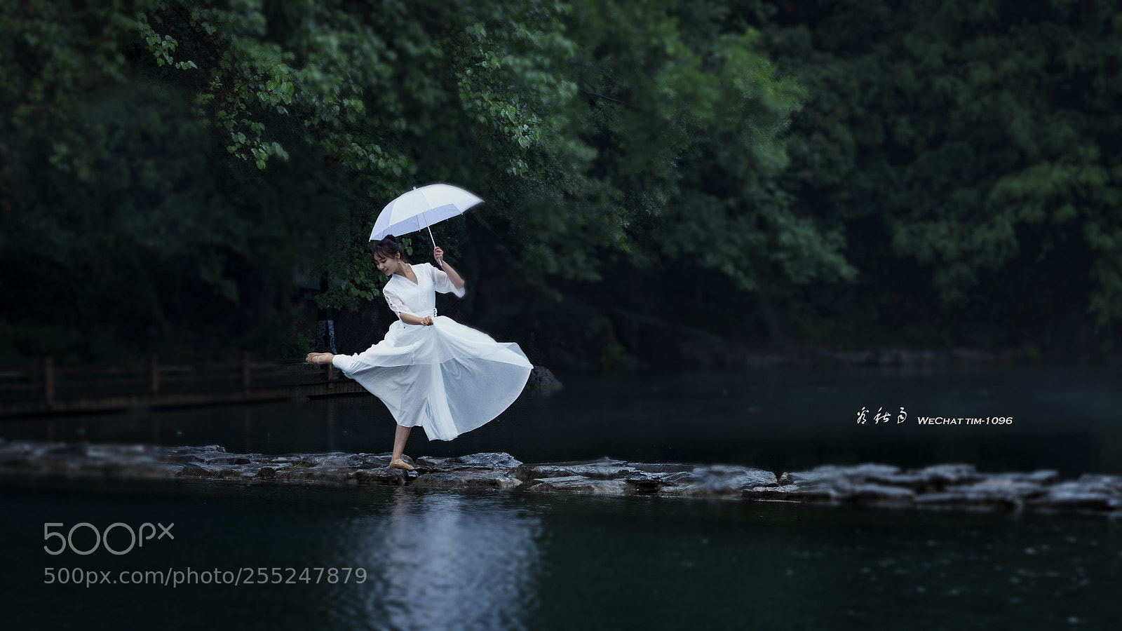 Canon EOS-1D X Mark II sample photo. Across the river photography