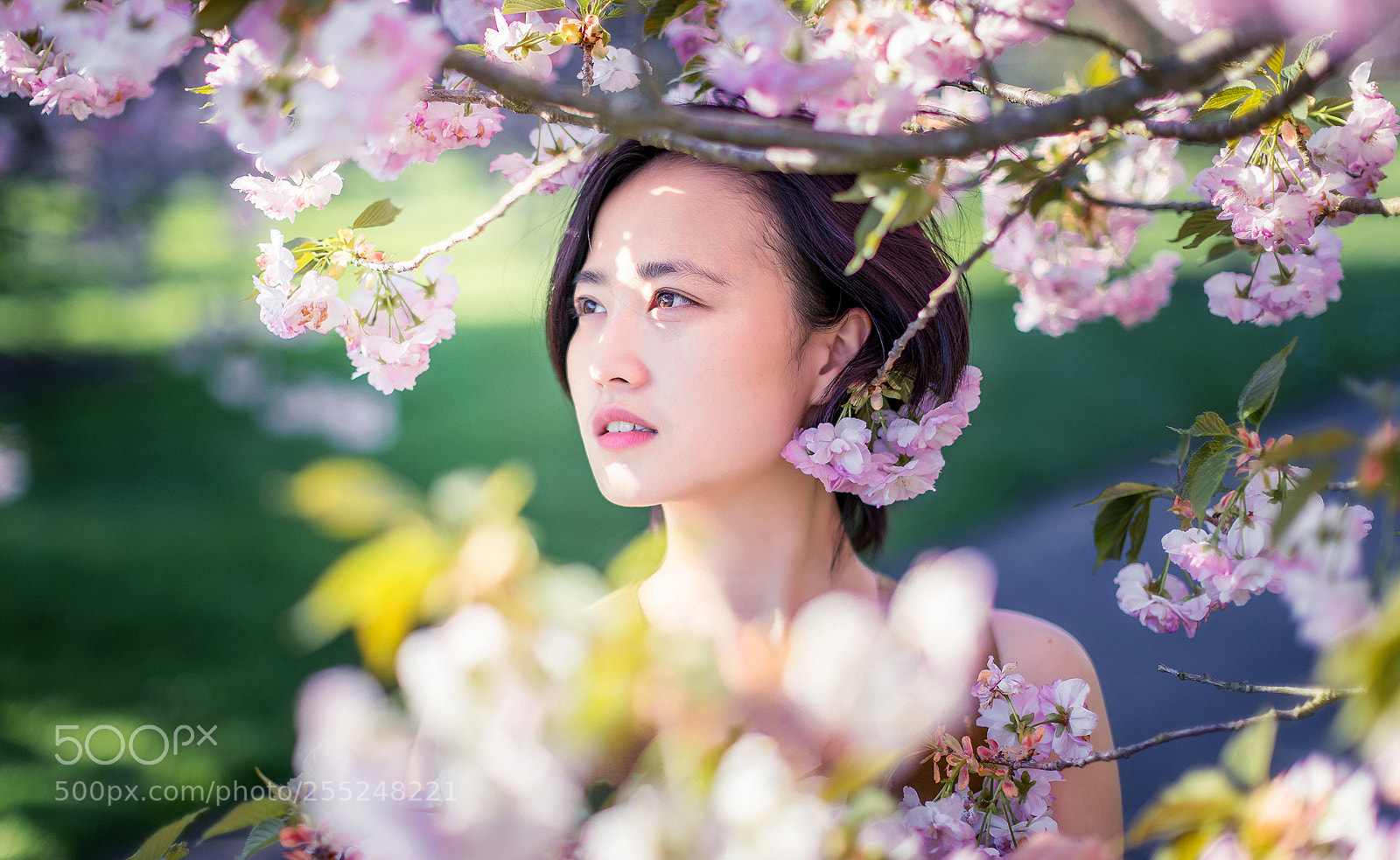 Sony a7R II sample photo. Untitled photography