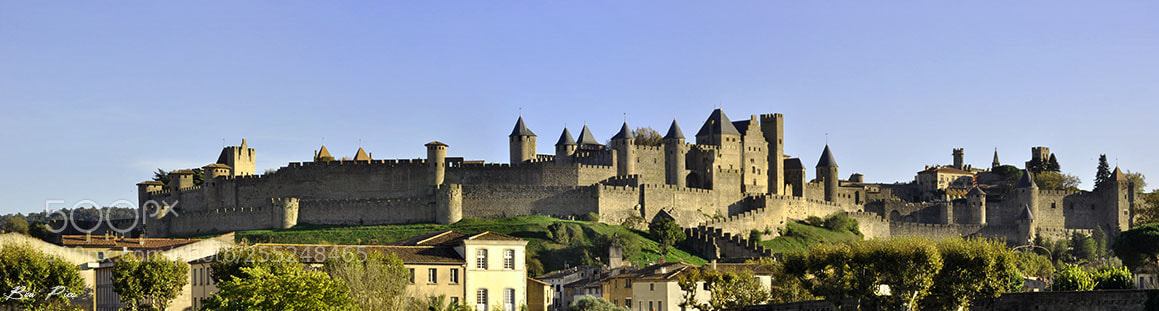 Nikon D90 sample photo. Carcassonne le fort photography