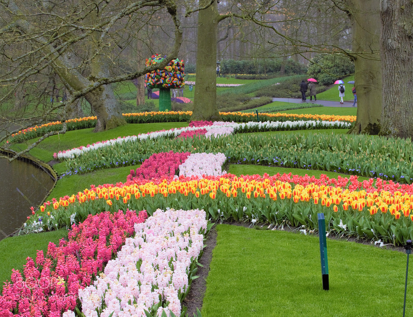 Nikon D5300 sample photo. Netherlands - keukenhof photography