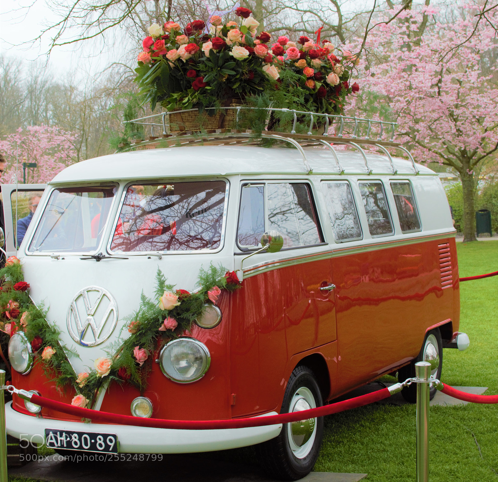Nikon D5300 sample photo. Kombi - keukenhof photography