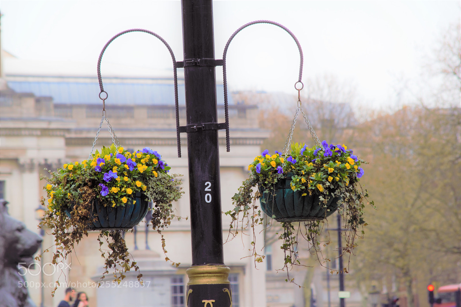 Nikon D5300 sample photo. Light post - london photography