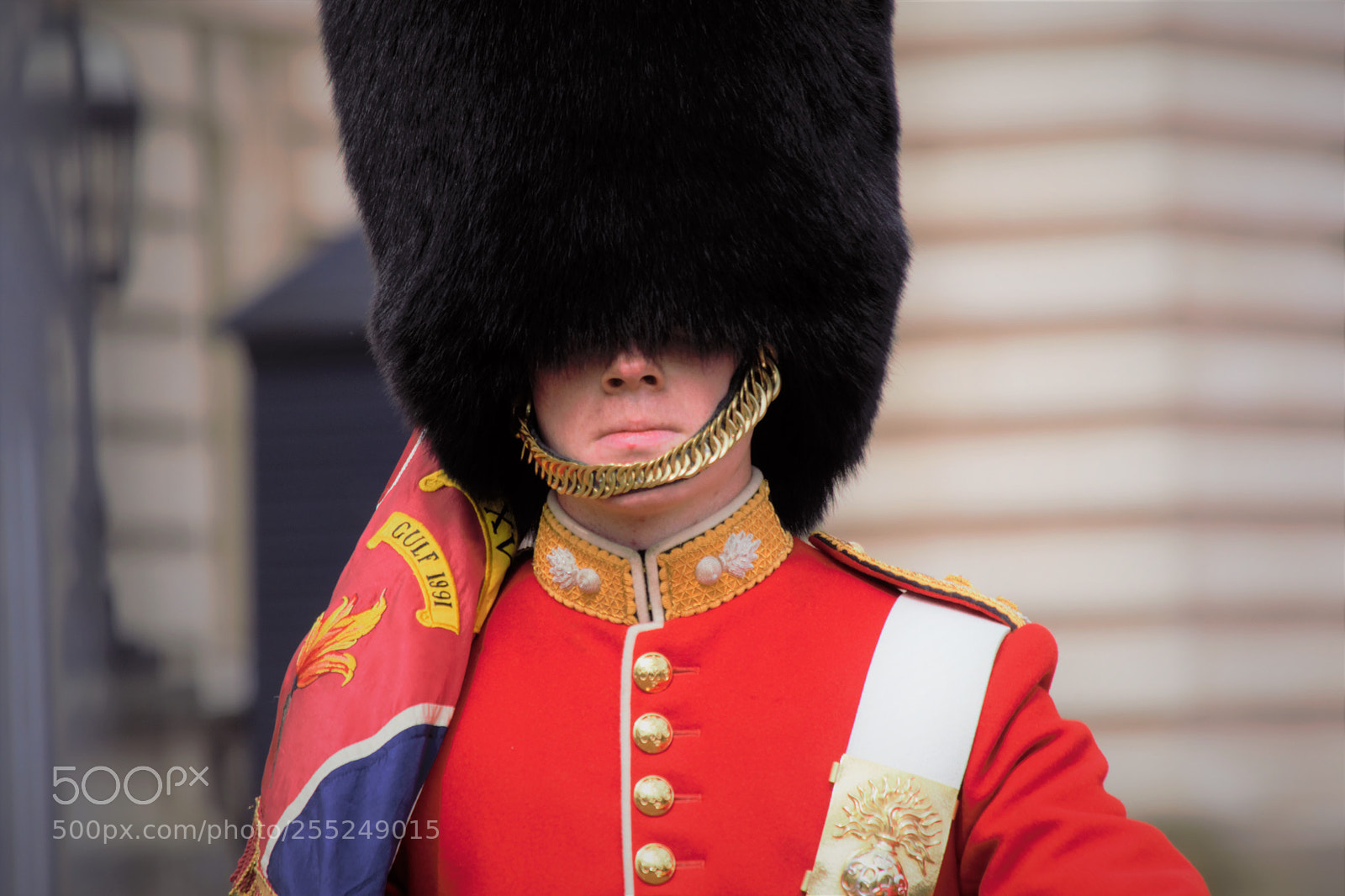Nikon D5300 sample photo. Royal guard - london photography