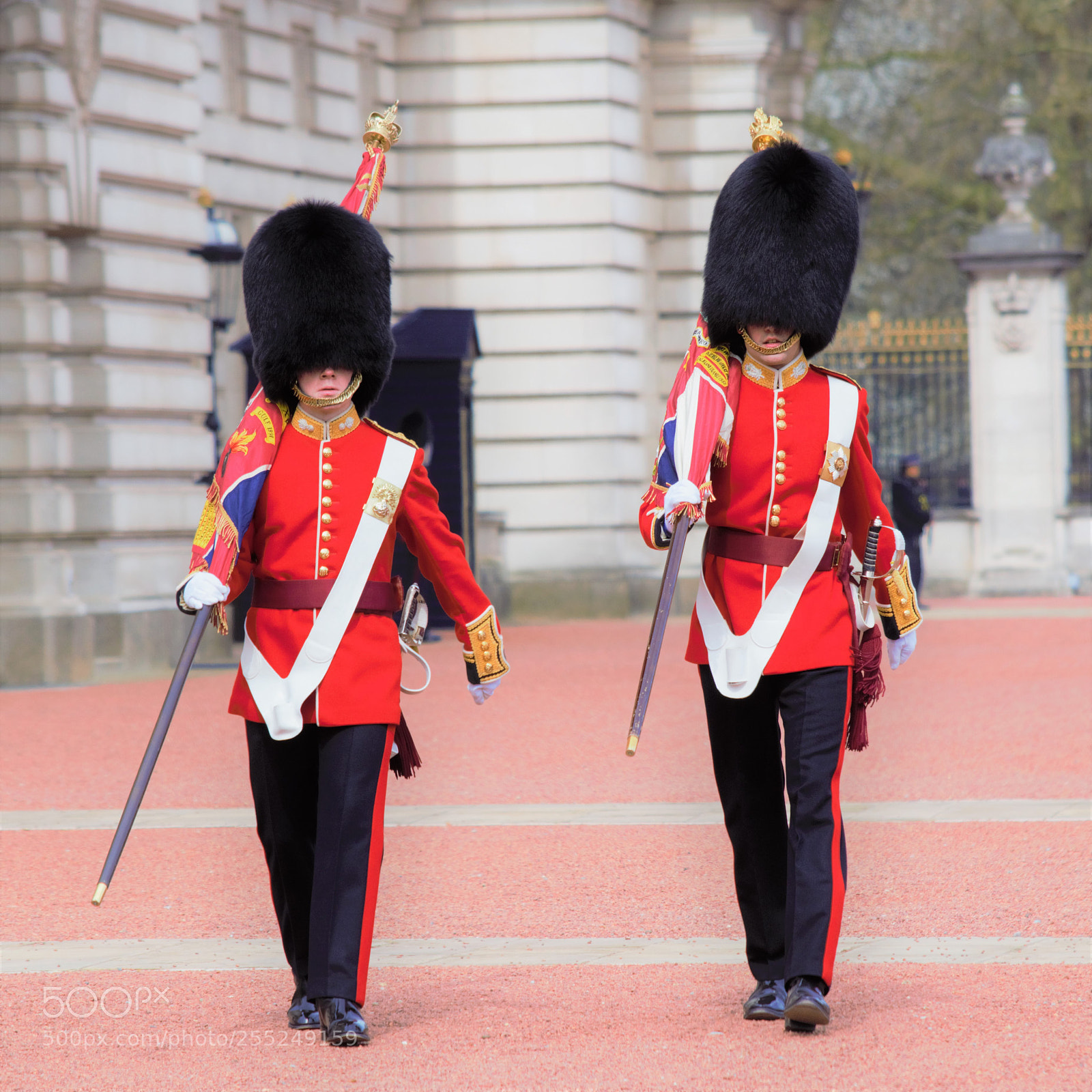 Nikon D5300 sample photo. Royal guard - london photography
