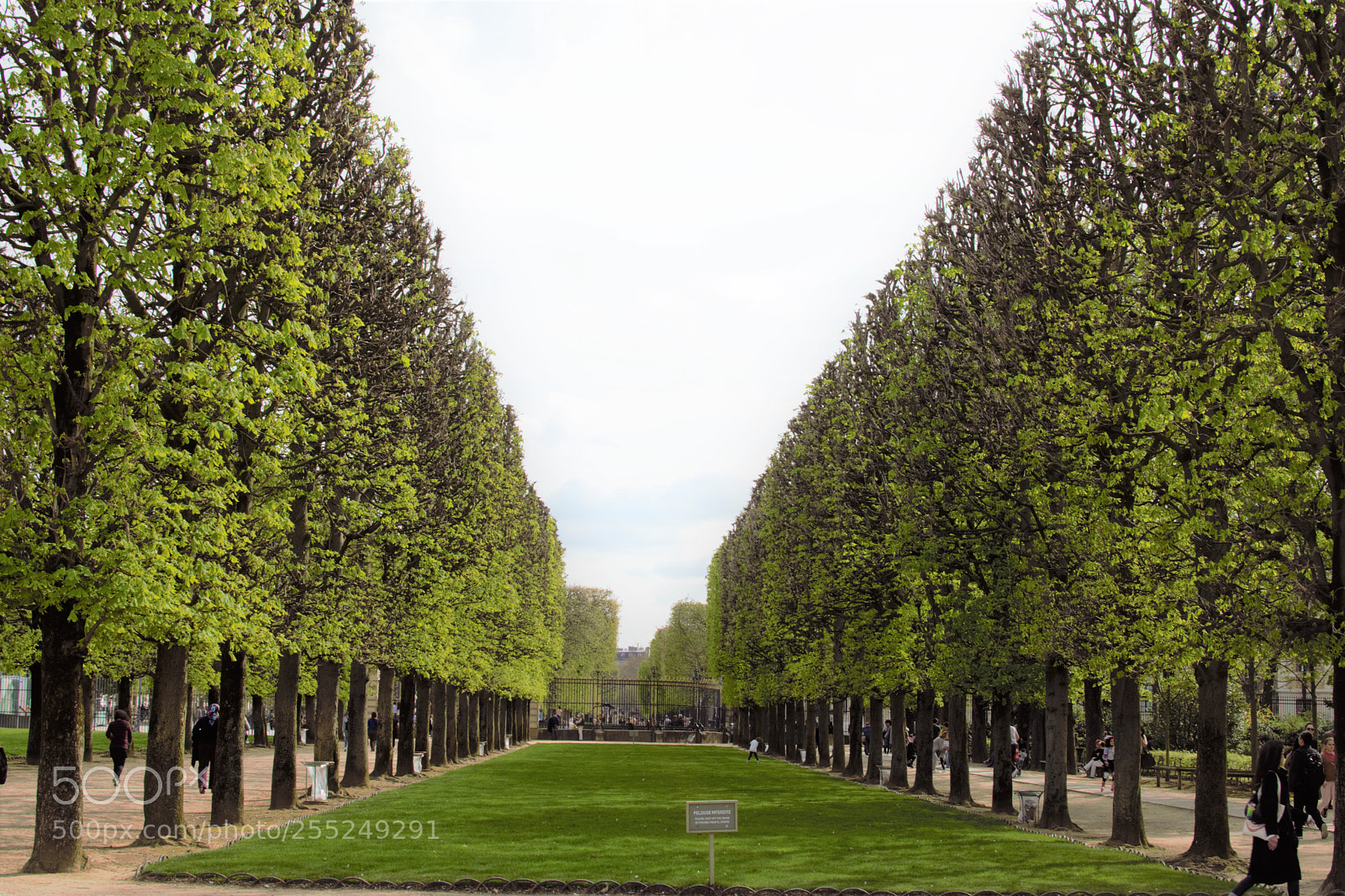 Nikon D5300 sample photo. Luxembourg garden - paris photography