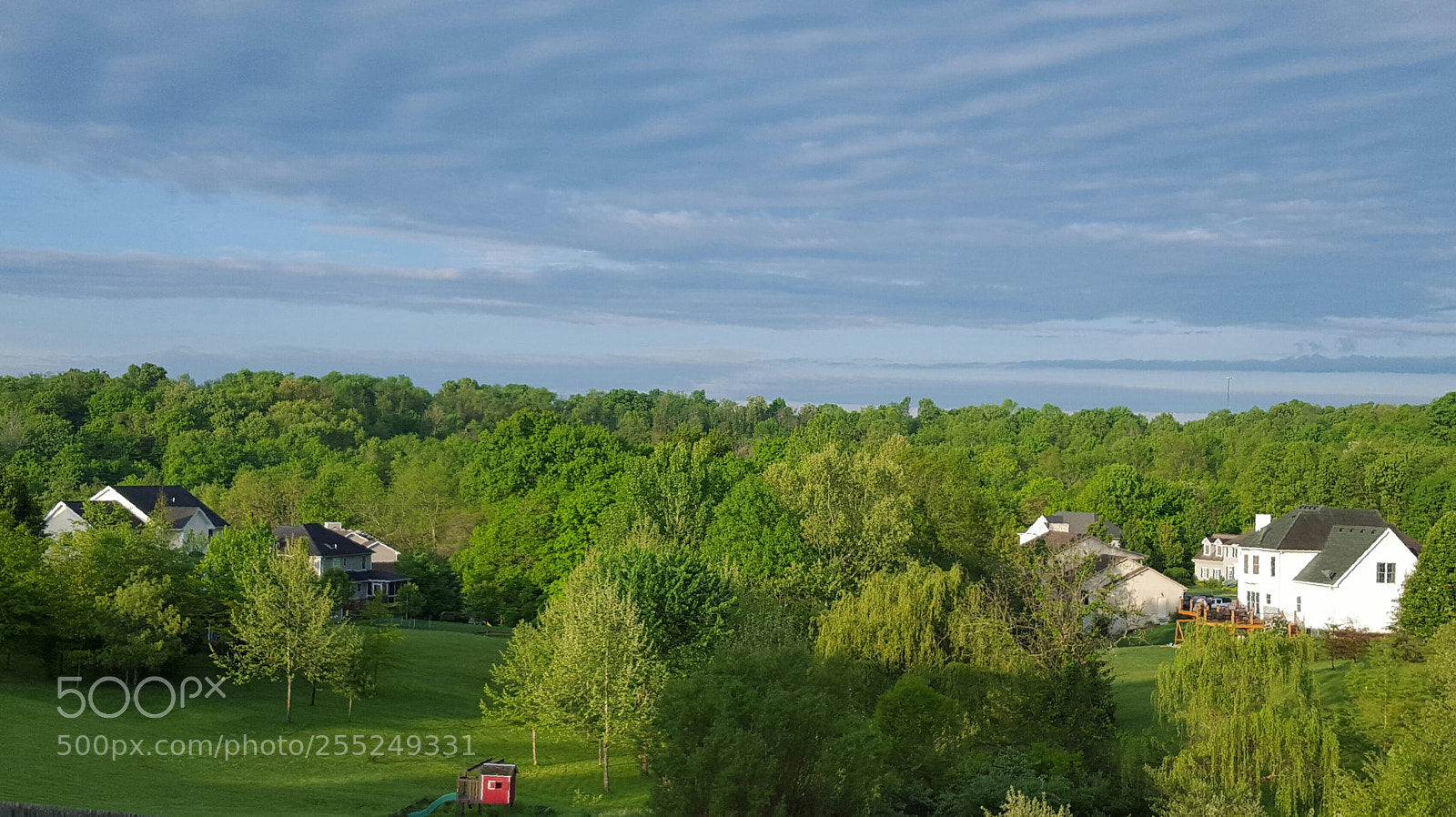 Samsung Galaxy S6 sample photo. Summerville photography