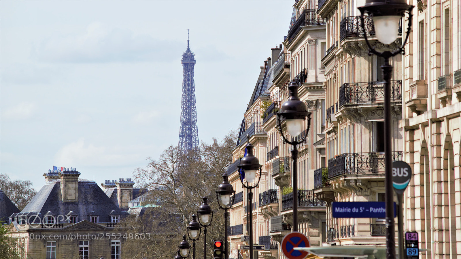 Nikon D5300 sample photo. Eiffel tower (pantheon view) photography