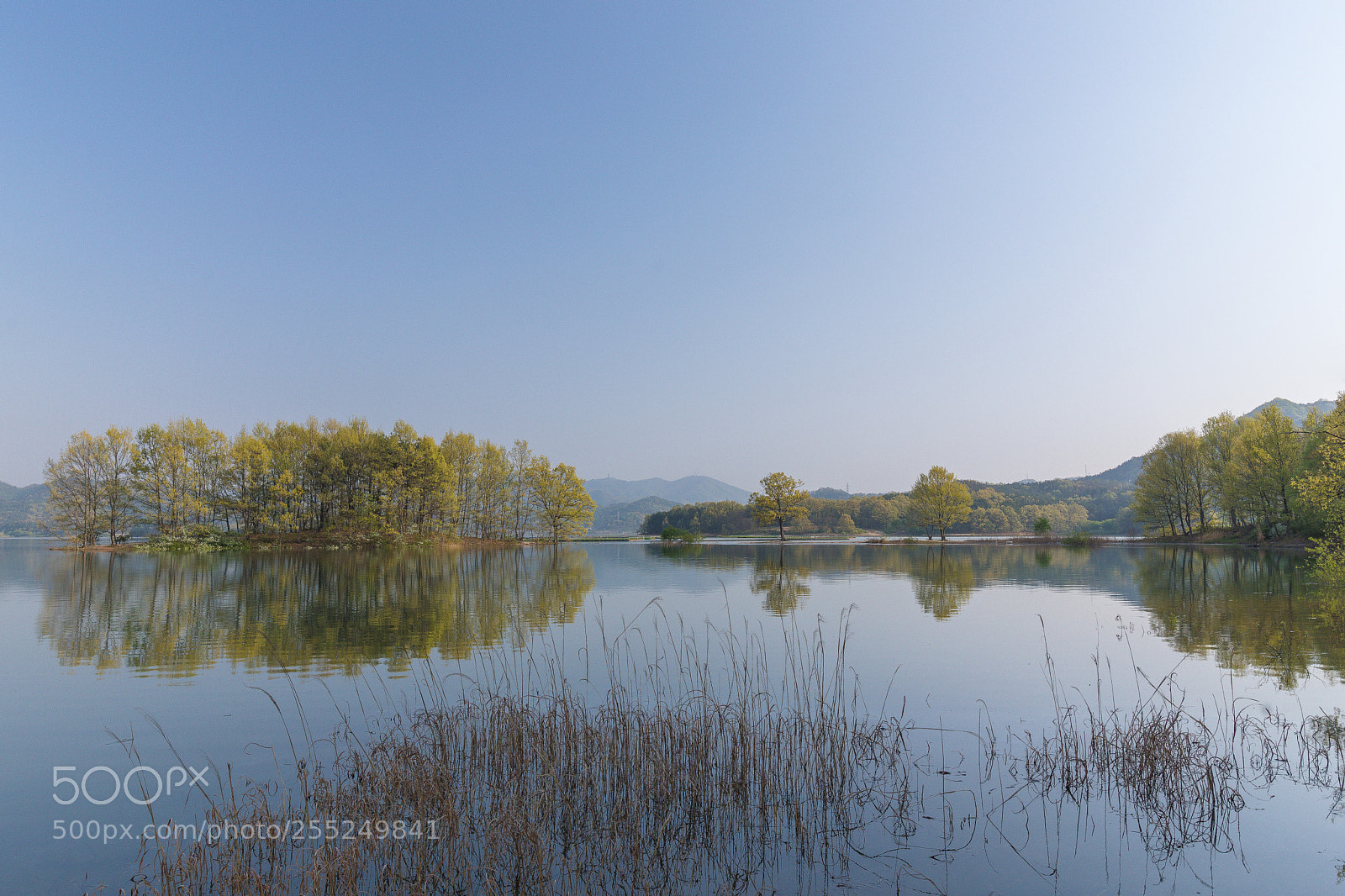 Canon EOS 5D Mark IV sample photo. 한국에 자연 photography