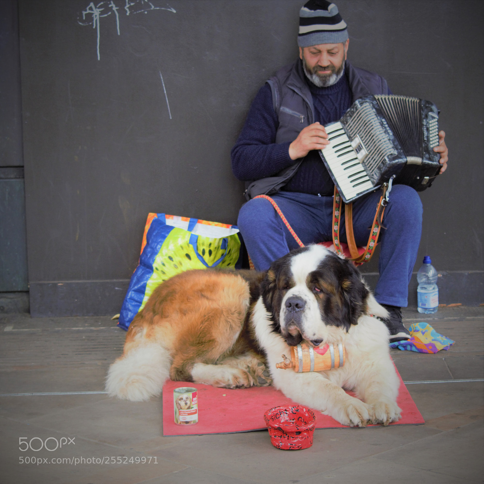 Nikon D5300 sample photo. London photography