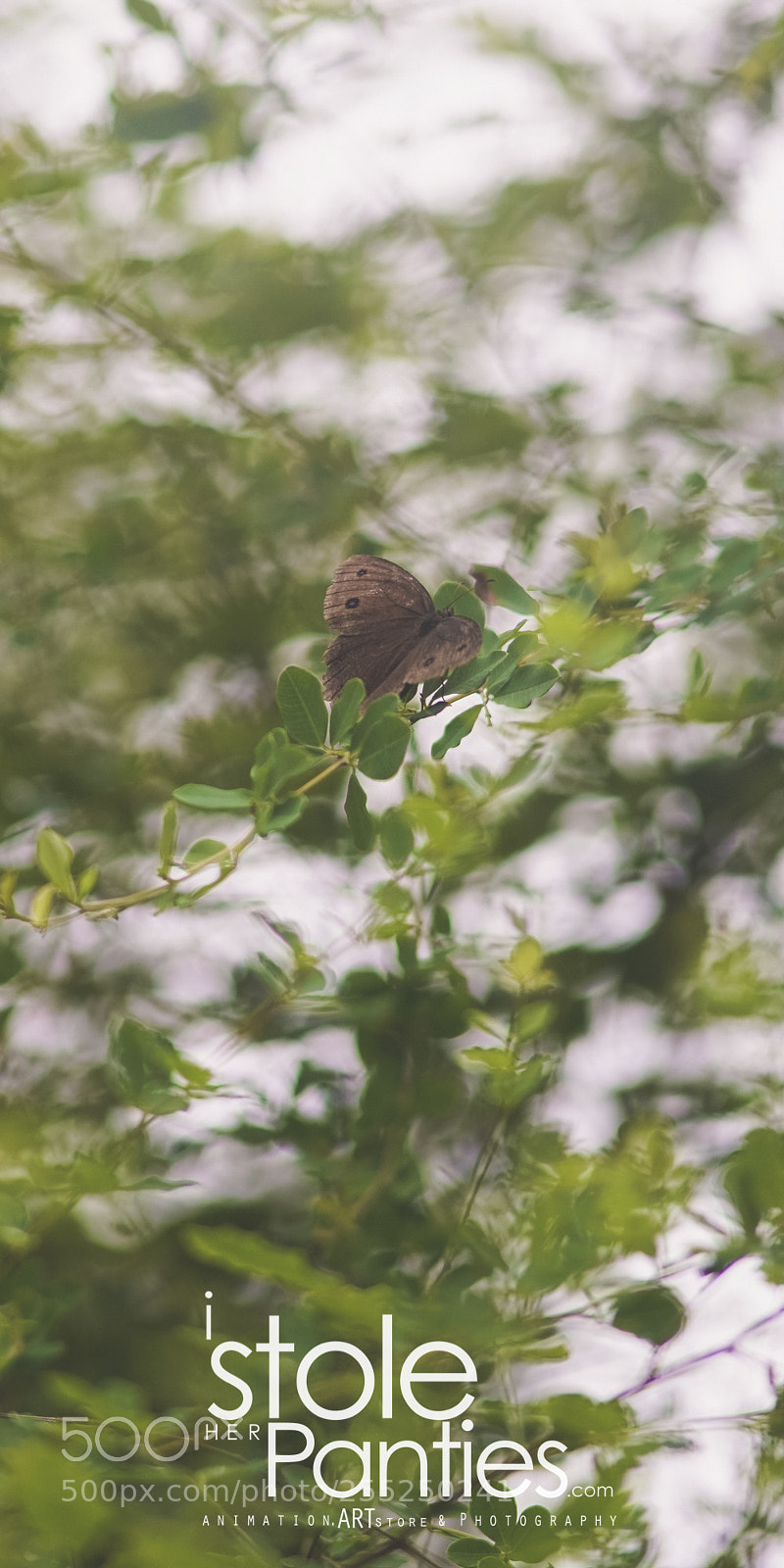 Sony a7R II sample photo. Teraoka ryokuchi park sendai photography