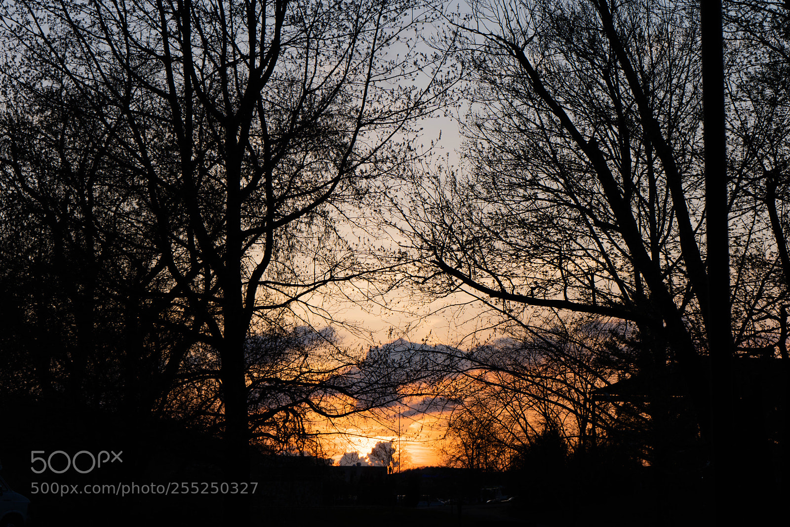 Sony a7 III sample photo. Sunset photography