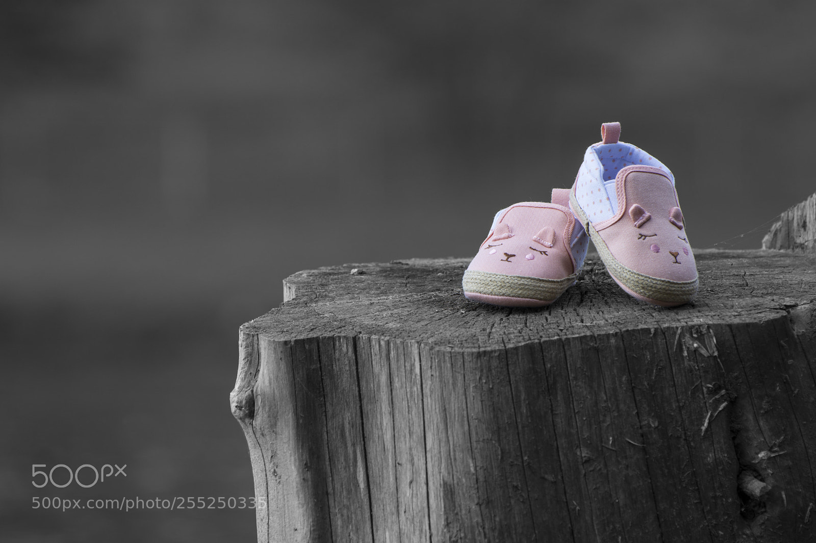 Nikon D7100 sample photo. ... photography
