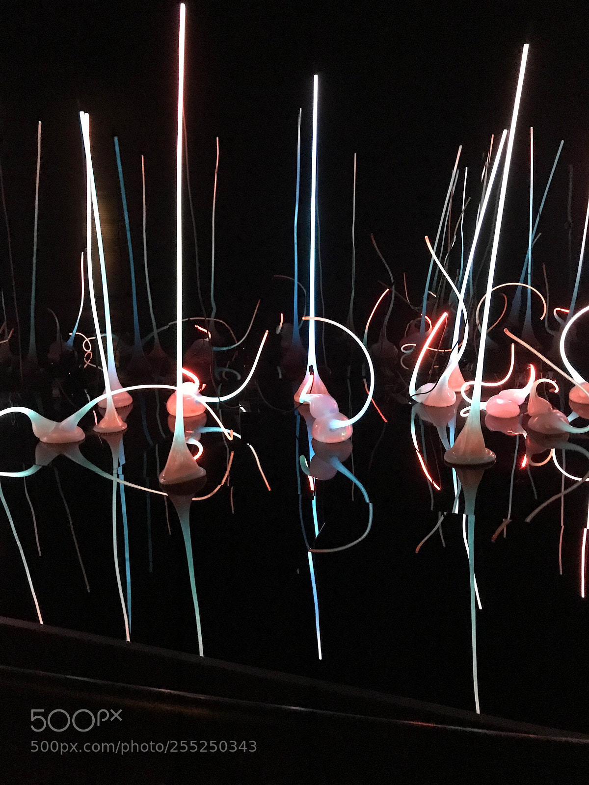 Apple iPhone 7 Plus sample photo. Chihuly glass museum photography