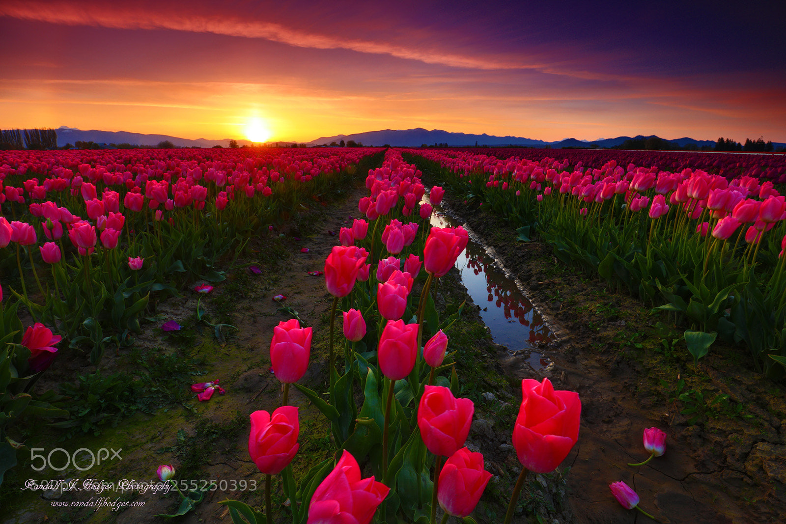 Canon EOS 5DS R sample photo. Wa photography