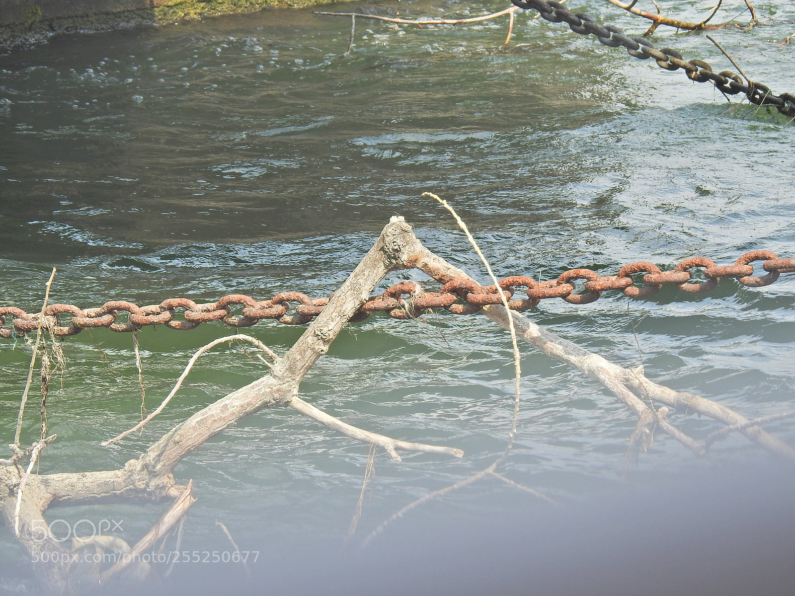 Nikon Coolpix P900 sample photo. Chain still life photography
