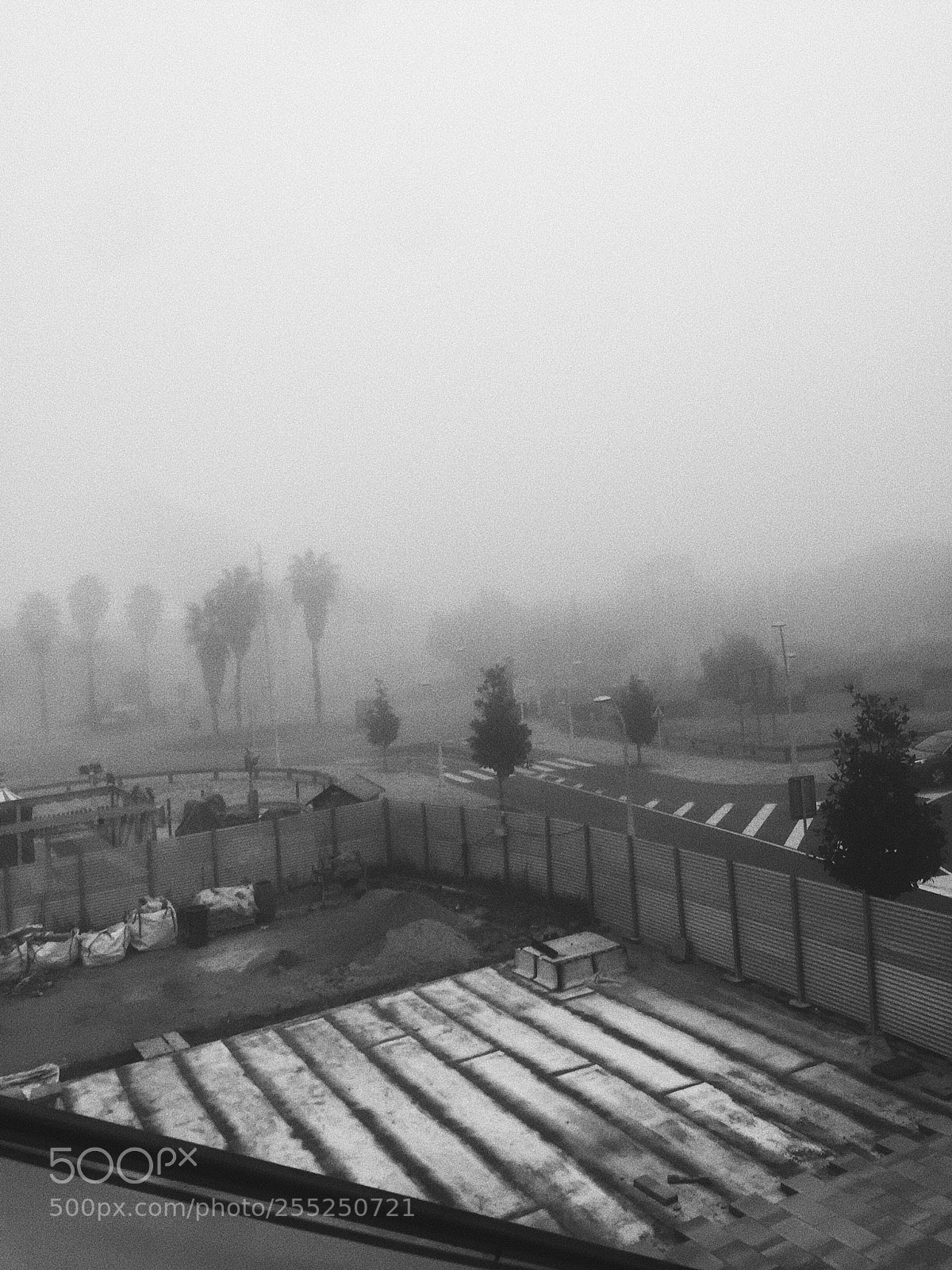 Apple iPhone 6 sample photo. Gris photography