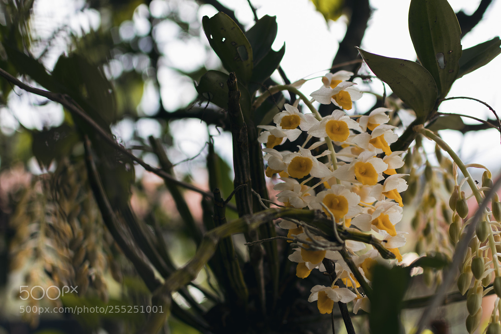 Nikon D3400 sample photo. Untitled photography