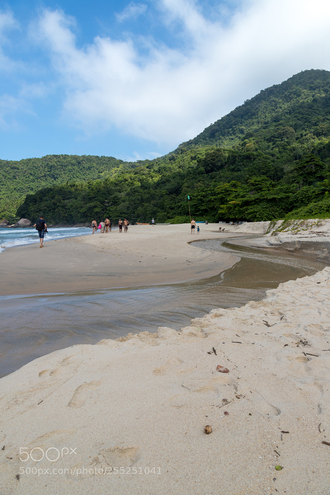 Canon EOS 6D Mark II sample photo. Untitled photography