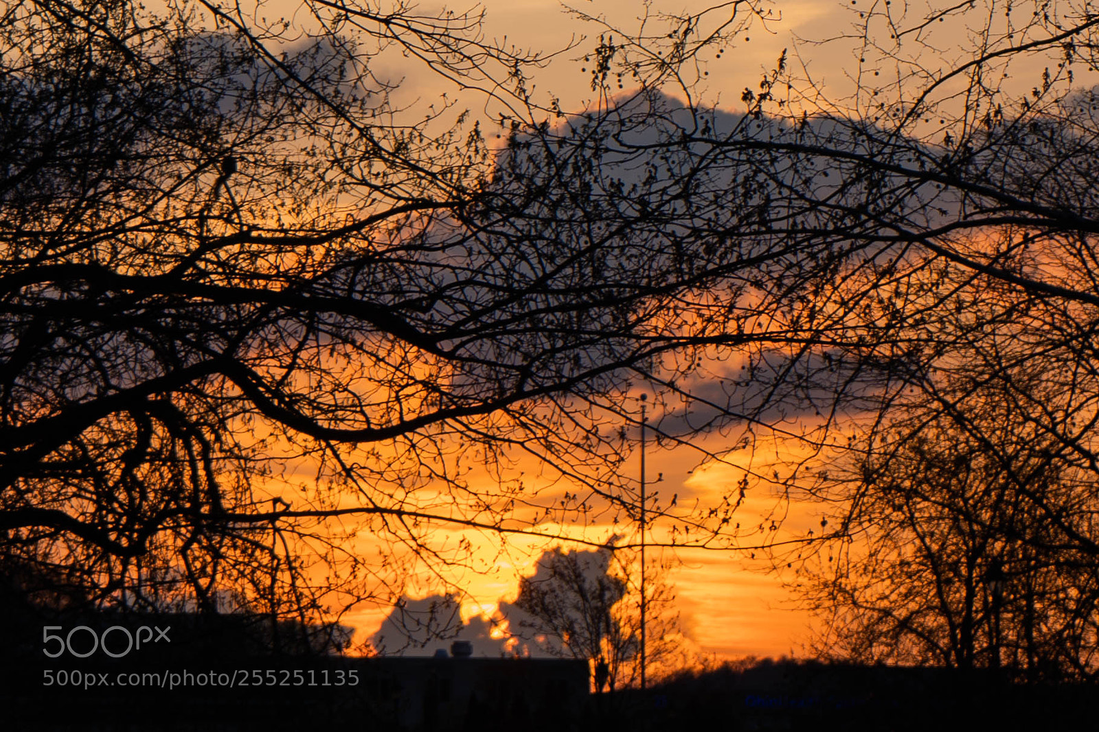 Sony a7 III sample photo. Sunset photography
