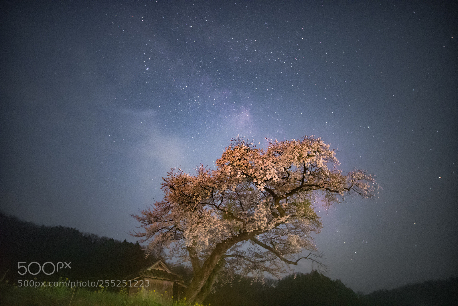 Pentax K-1 sample photo. Spring sky photography