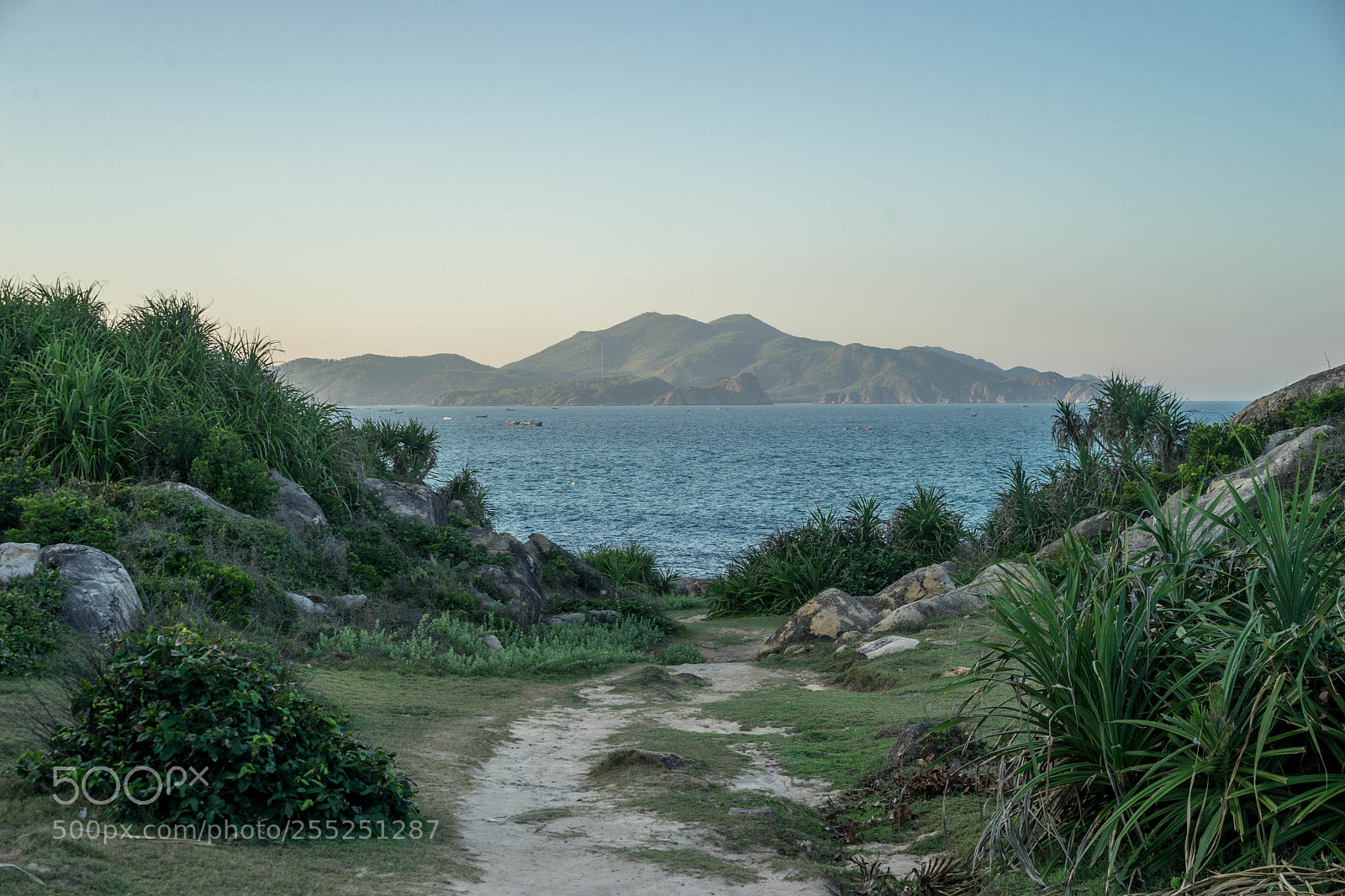 Sony a7 sample photo. Dsc photography