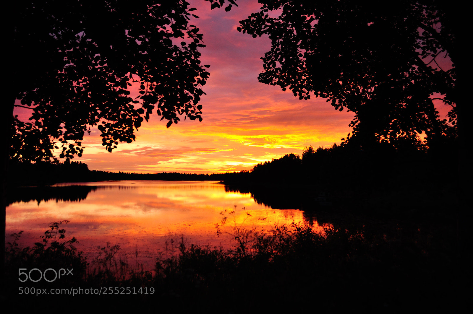 Nikon D5000 sample photo. Burning sky photography