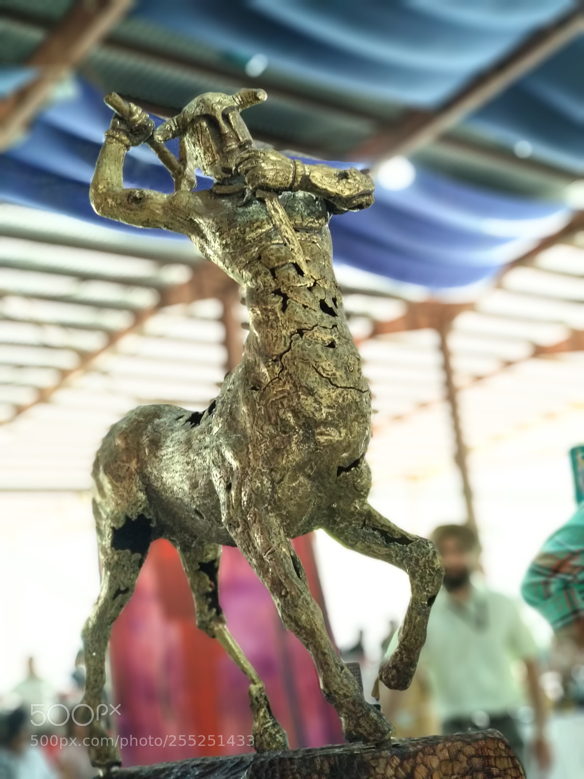 Xiaomi Mi A1 sample photo. Hippocentaur photography