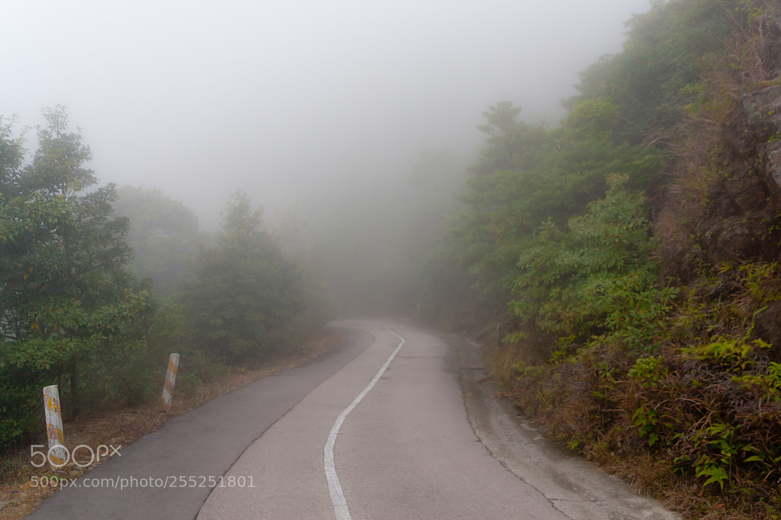 Canon EOS 30D sample photo. Tai mo san road photography