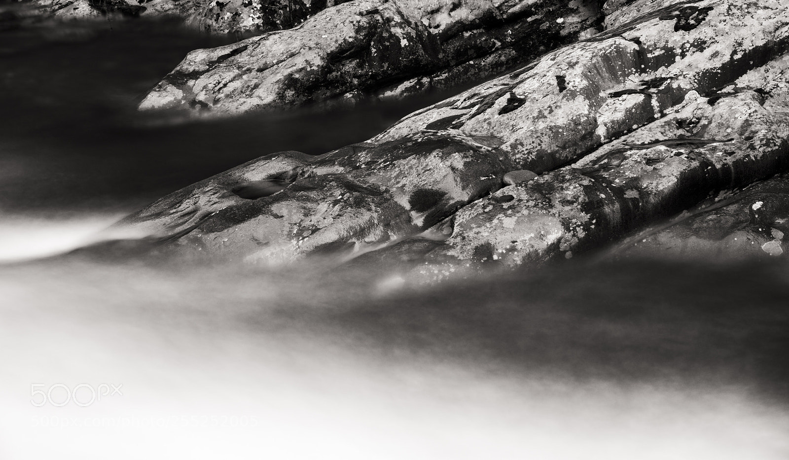 Nikon D810 sample photo. Solo vacations bnw photography