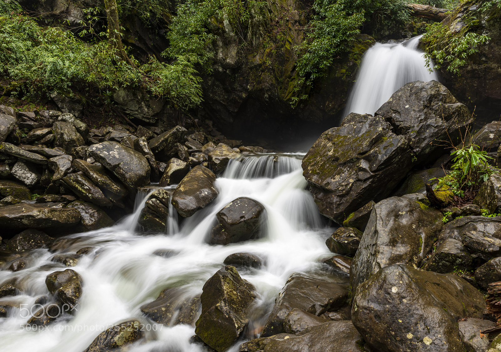 Nikon D810 sample photo. Solo vacations fall photography