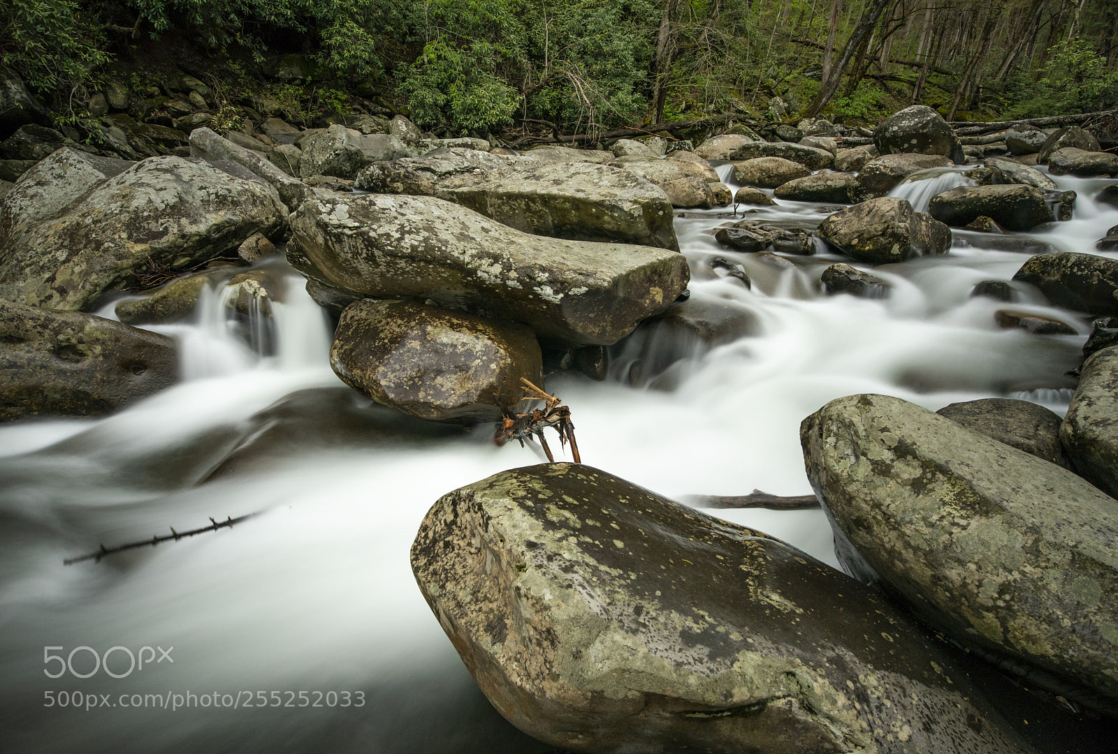 Nikon D810 sample photo. Solo vacations photography