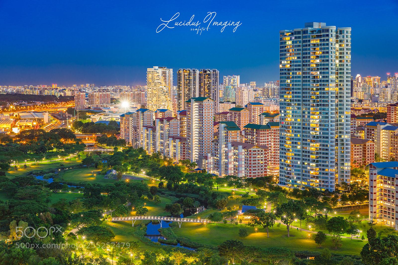 Canon EOS 5D Mark IV sample photo. Bishan park photography