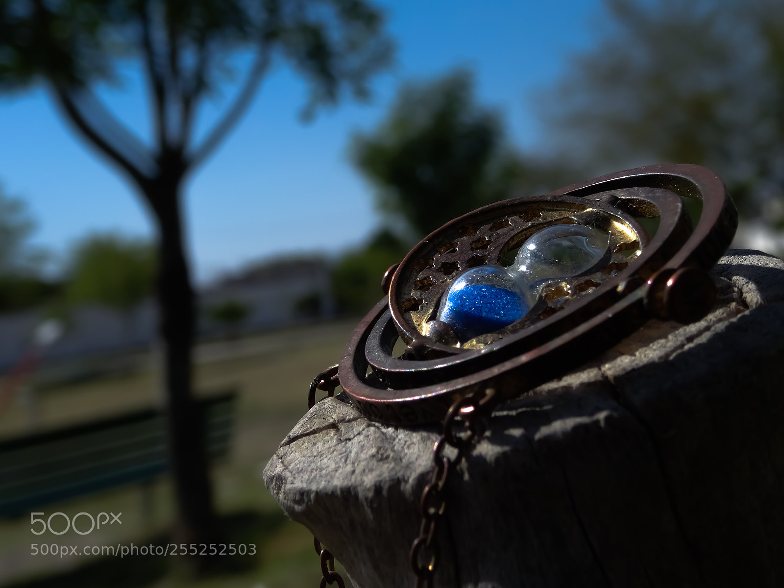 Sony Cyber-shot DSC-HX50V sample photo. Dsc photography