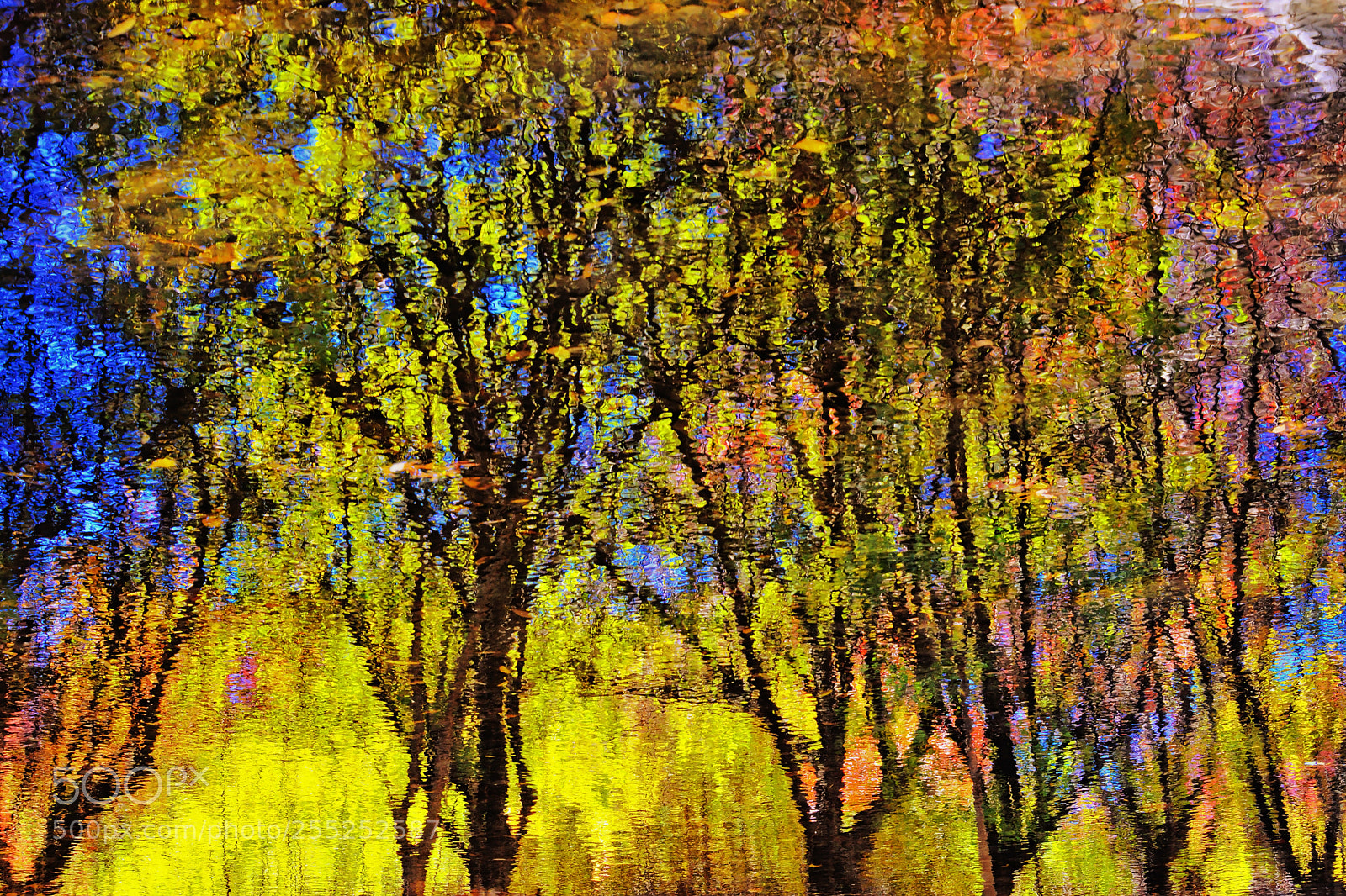 Nikon D800E sample photo. Autumn fires photography