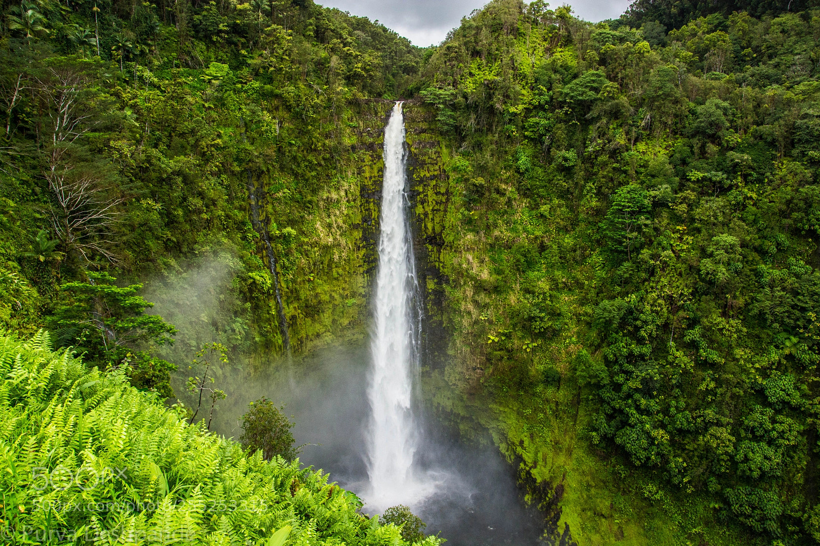 Nikon D5200 sample photo. Akaka falls, hawaii photography
