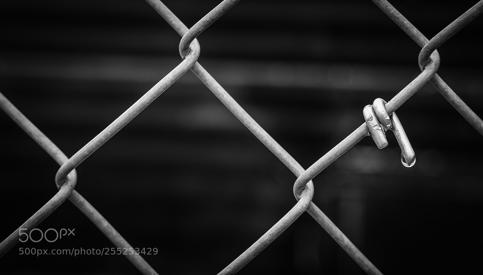 Fujifilm X-T1 sample photo. Waiting photography