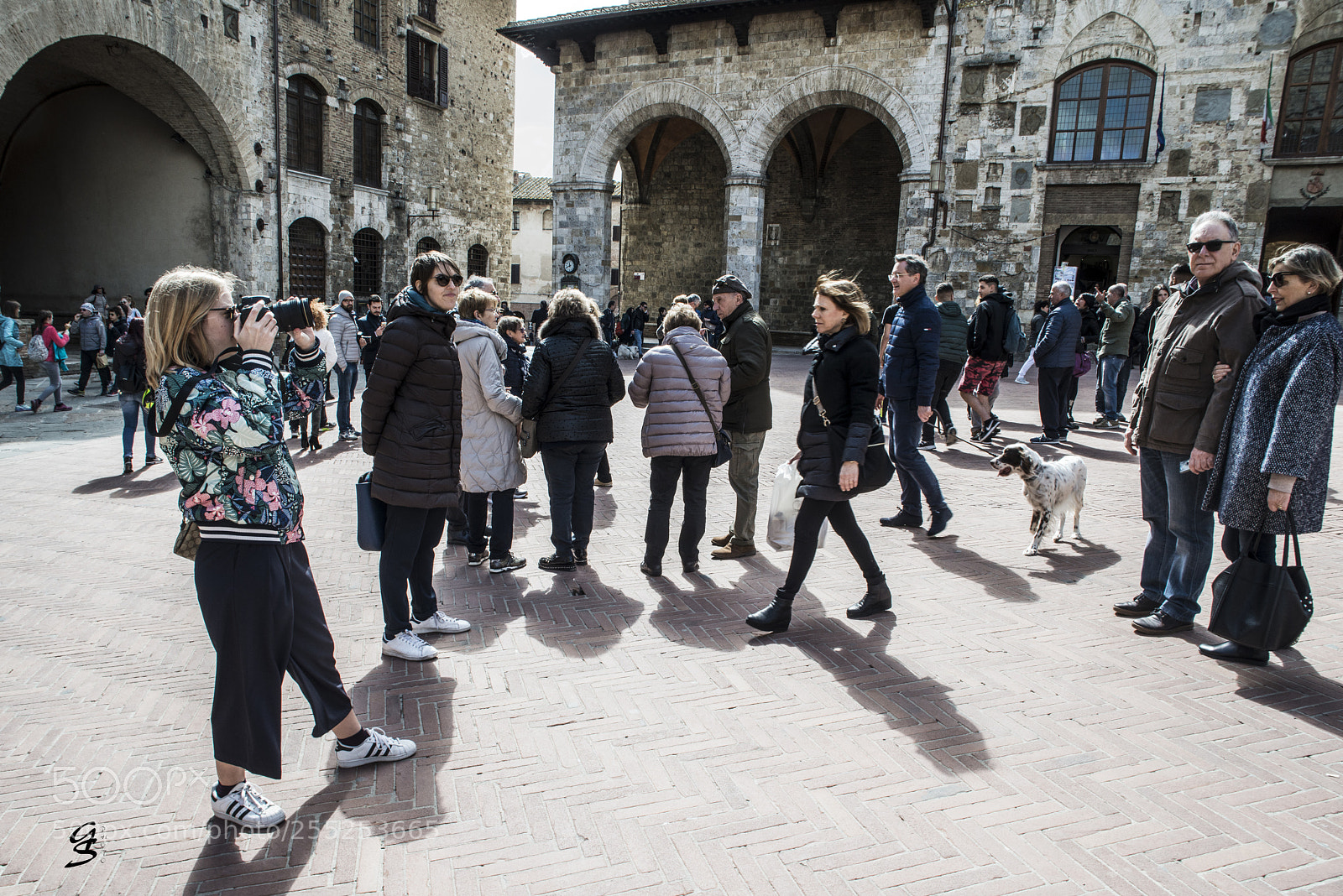 Nikon D800 sample photo. Stolen shots photography