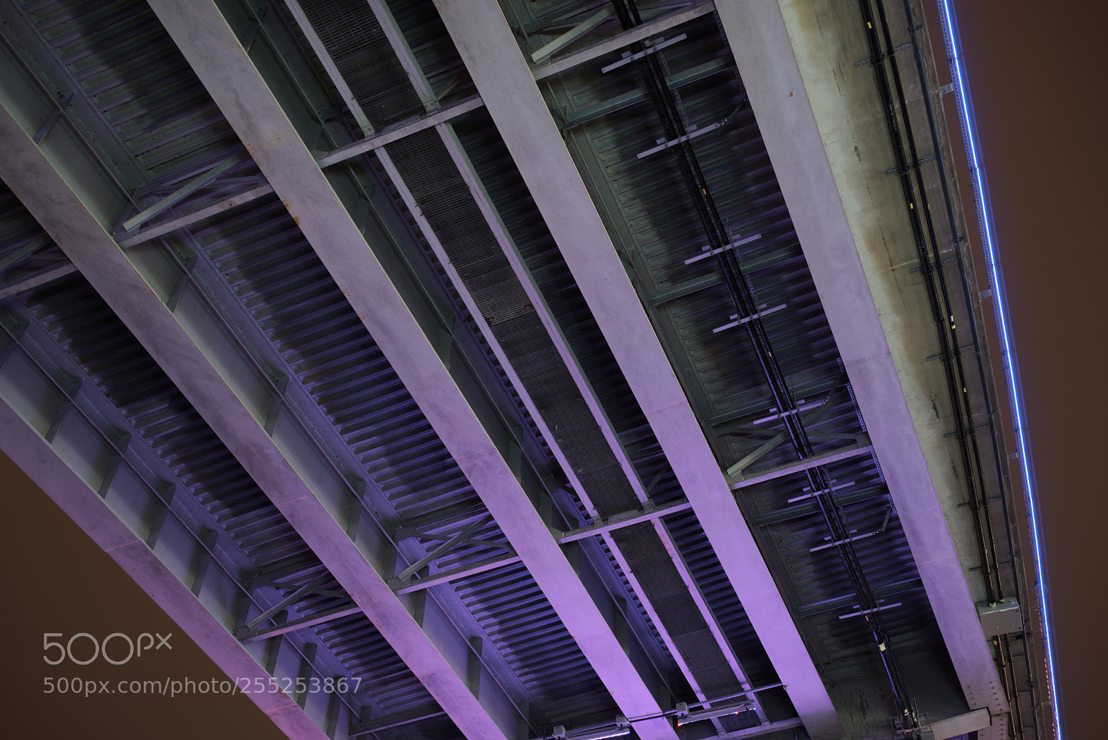 Sony a7 sample photo. Foil photography