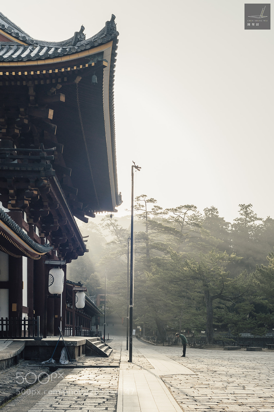 Nikon D700 sample photo. Todaiji temple photography