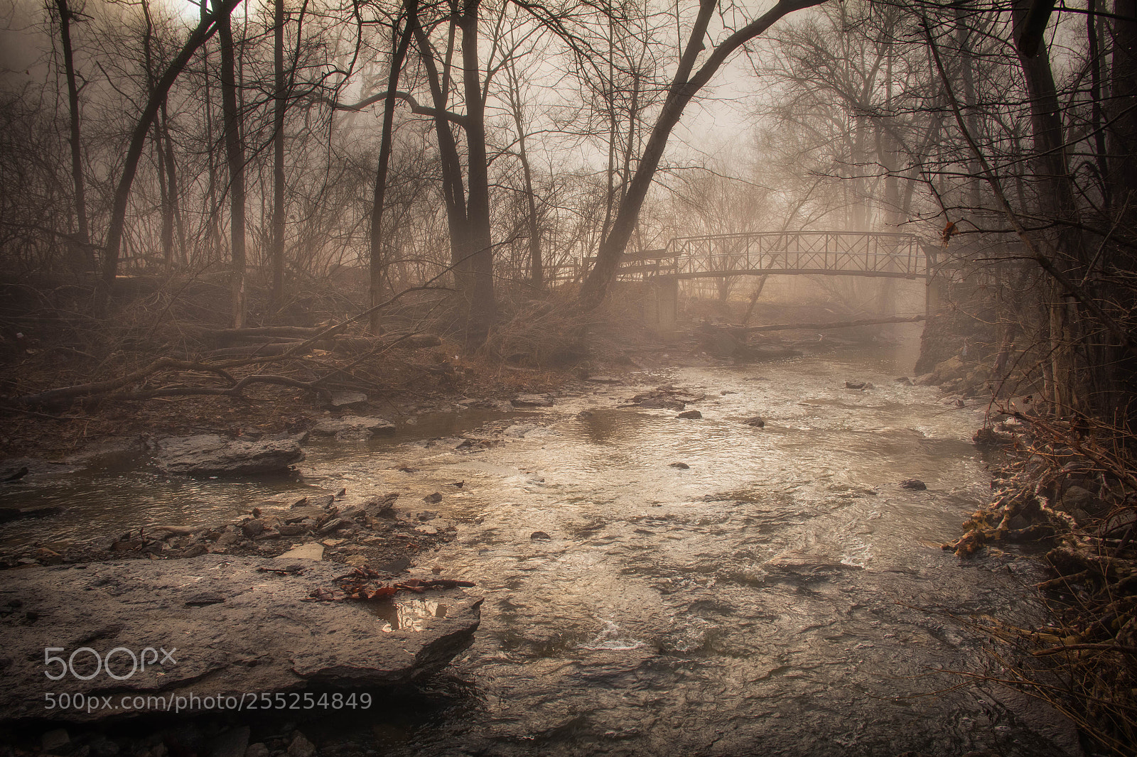 Canon EOS 60D sample photo. Kingfisher creek bridge photography