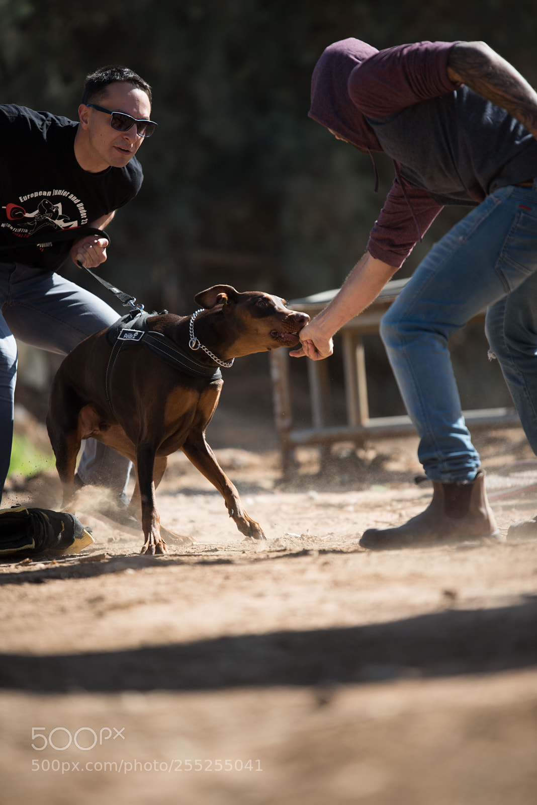 Nikon D810 sample photo. Work accident photography