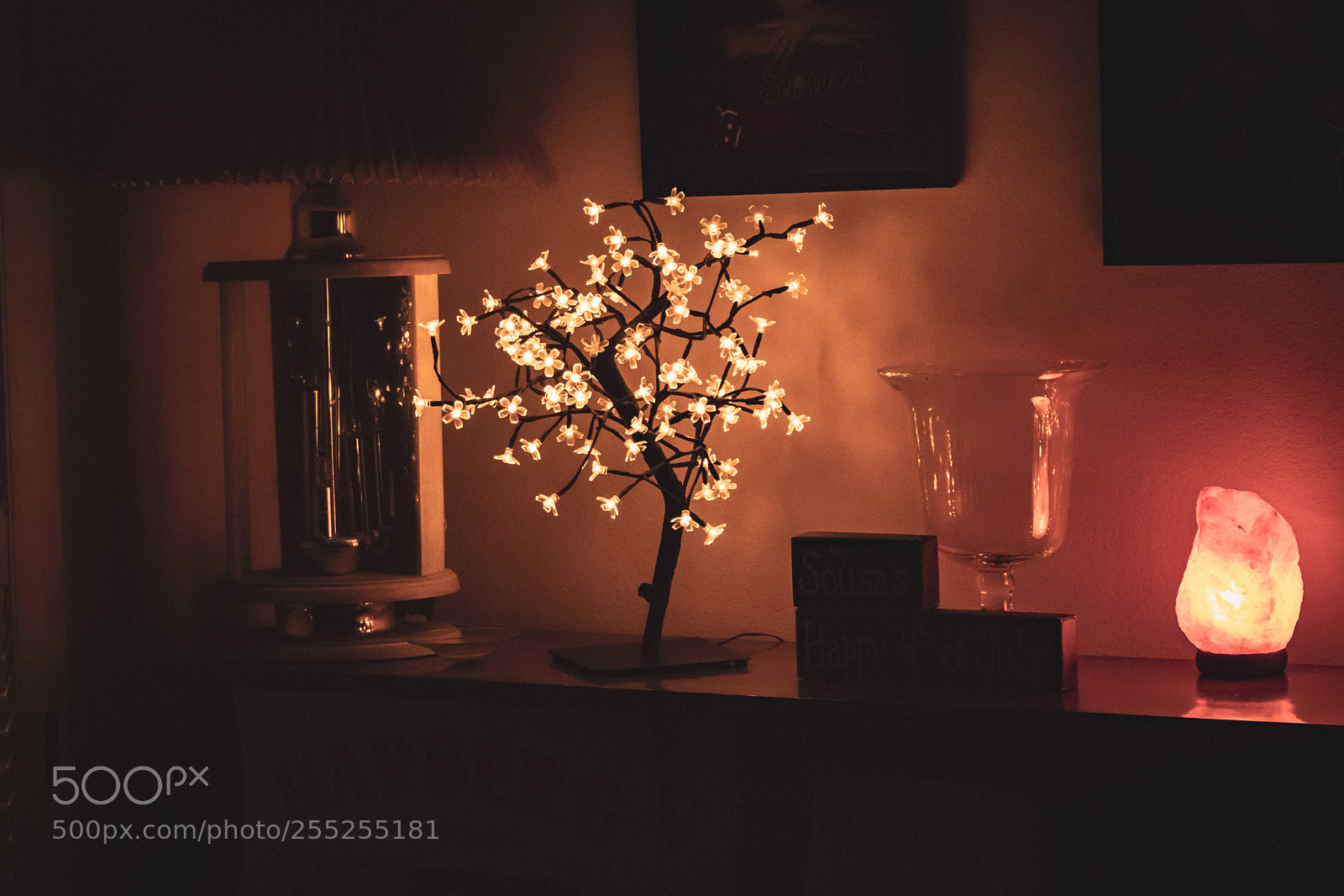 Canon EOS 80D sample photo. Night of spring photography