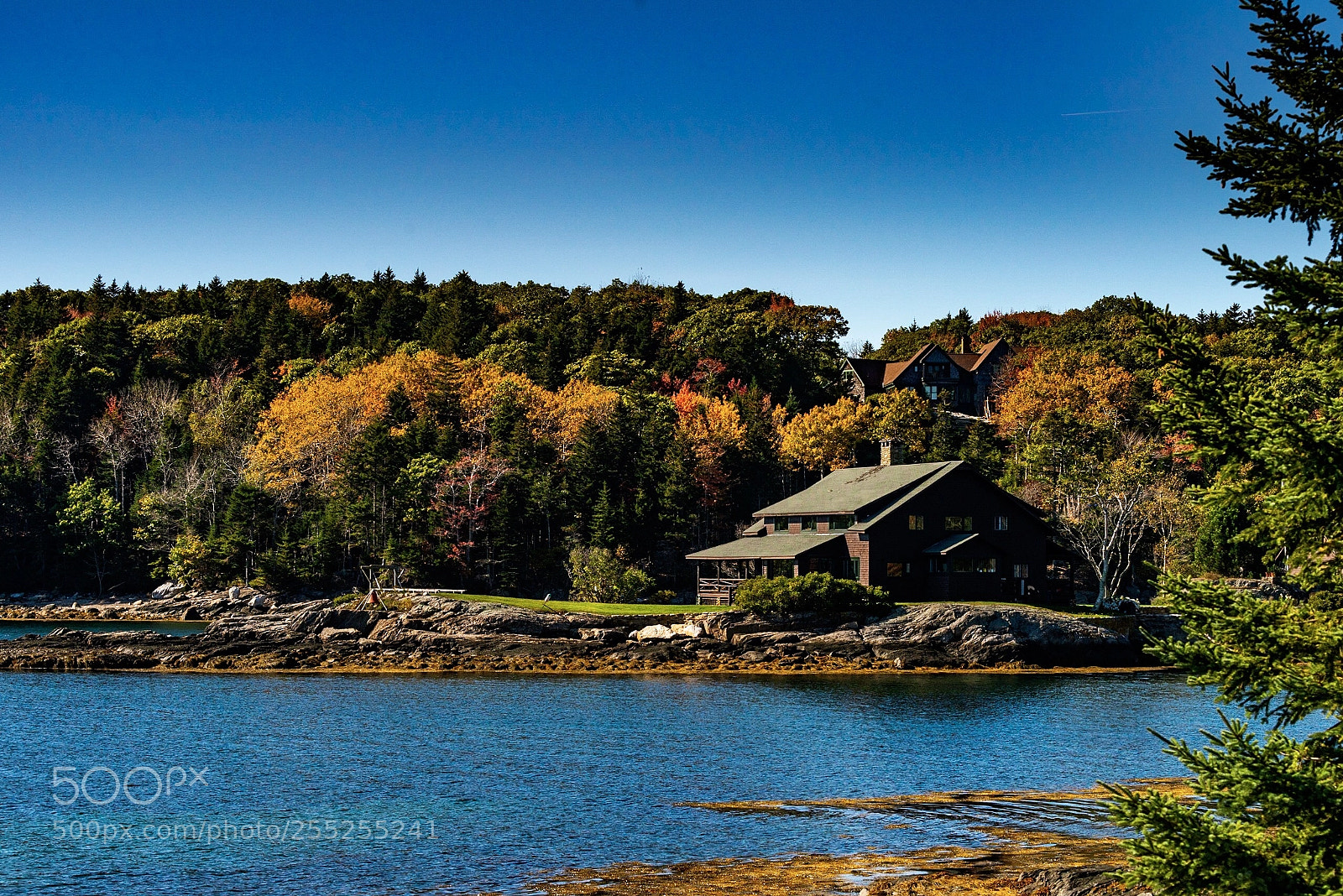 Nikon D800E sample photo. Camden maine photography
