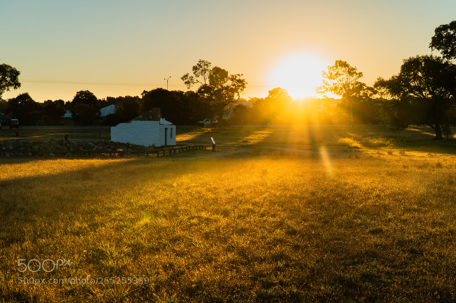 Sony a6300 sample photo. Golden hour painting photography