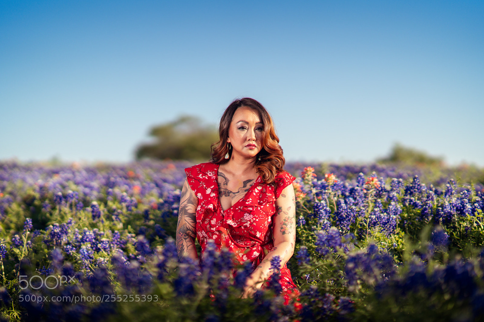 Sony a99 II sample photo. Mama san bluebonnets photography